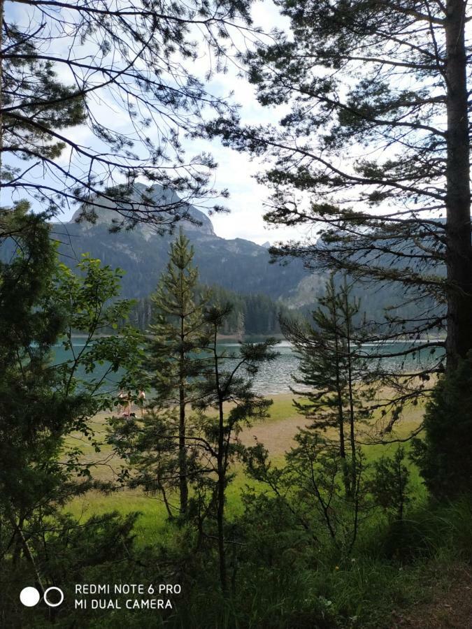 Hotel Vuk Popovic Žabljak Esterno foto